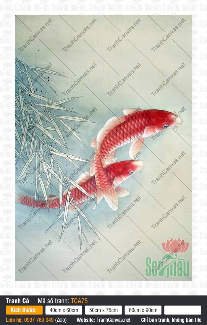 In Tranh Cá Chép TCA75, Tranh Cá Chép Phong Thủy, Tranh Cá Đẹp, Tranh Canvas Decor