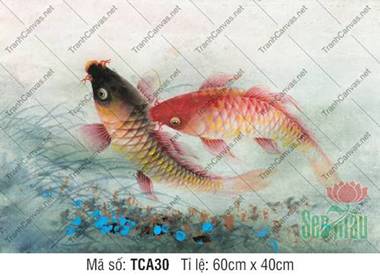 Tranh Cá Chép Trong Phong Thủy TCA30, Hình Cá Chép