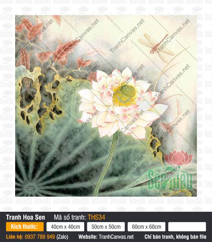 Hình Hoa Sen Siêu Đẹp THS34, Hình Ảnh Hoa Sen Đẹp, Tranh Hoa Sen, Xưởng In Tranh Canvas