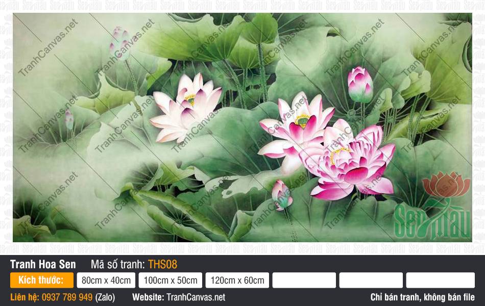 Tranh in Hoa Sen THS08, Tranh Hình Hoa Sen, Tranh Hoa Sen, Tranh Canvas Phòng Khách