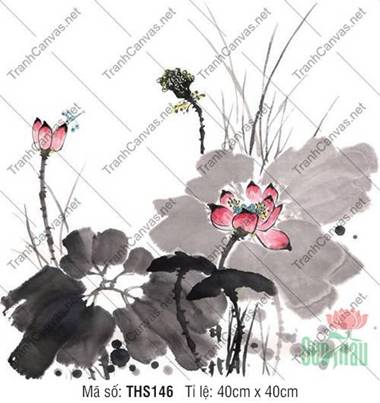 Hình Ảnh Hoa Sen Đẹp THS146, Tranh Hoa Sen Canvas