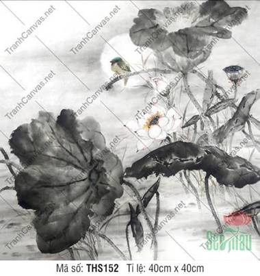 Hình Bông Hoa Sen Đẹp THS152, Tranh Hoa Sen Canvas