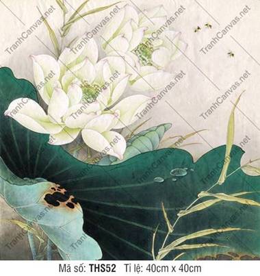Hình Bông Hoa Sen Đẹp THS52, Tranh Hoa Sen Canvas