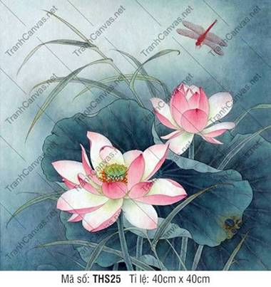 Hình Hoa Sen Nghệ Thuật THS25, Hình Vẽ Hoa Sen Đẹp