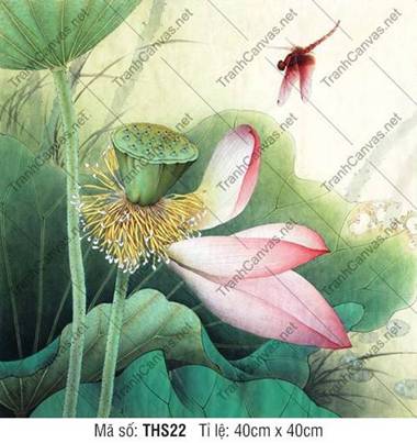 Hình Hoa Sen THS22, Hoa Sen Nghệ Thuật
