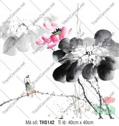 Hình Vẽ Hoa Sen Đẹp Nhất THS142, Tranh Hoa Sen Đẹp