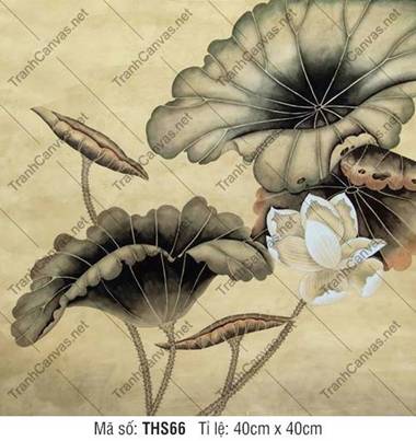 Tranh Hình Hoa Sen THS66, Hình Ảnh Hoa Sen Cực Đẹp