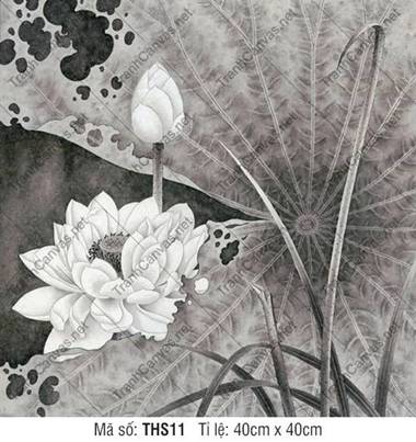 Tranh Hoa Sen Đen Trắng THS11, Tranh Hoa Sen