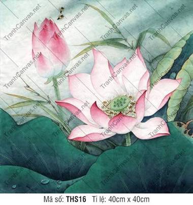 Tranh Hoa Sen Phòng Khách THS16, Tranh Hoa Sen Đẹp