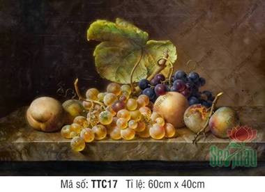 Tranh Tĩnh Vật Đơn Giản Đẹp TTC17, Tranh Tĩnh Vật