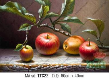 Tranh Tĩnh Vật Quả Táo TTC22, Tranh Tĩnh Vật Màu