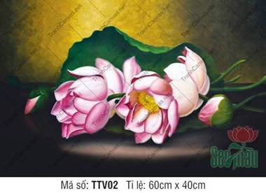 Tranh Tĩnh Vật Hoa Sen TTV02, Tranh Tĩnh Vật Màu